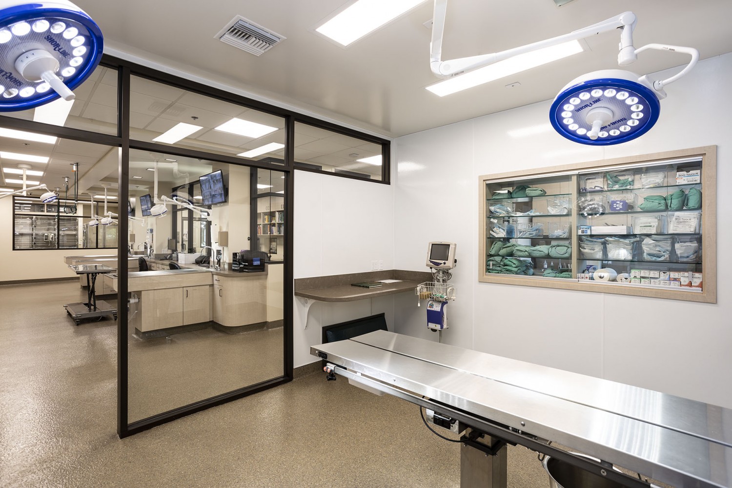 surgical and dental suites