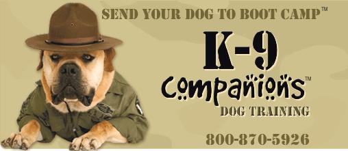 K-9 Companions