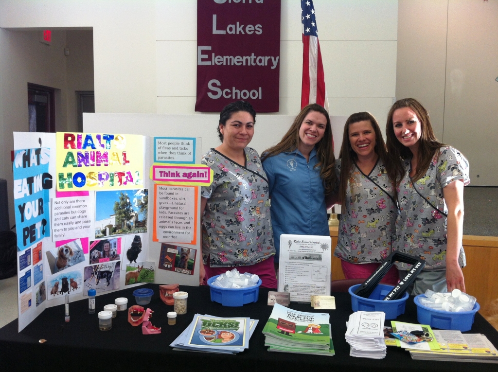 Sierra Lakes Health Fair