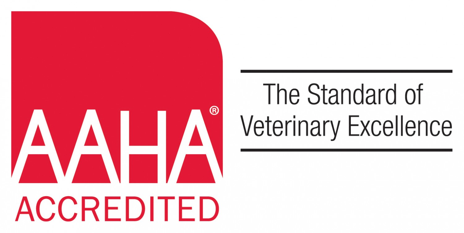 aaha animal hospitals near me