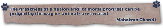 The greatness of a nation and its moral progress can be judged by the way its animals are treated