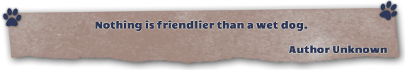 quote banner