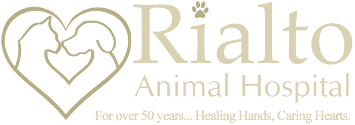 Rialto Animal Hospital Logo