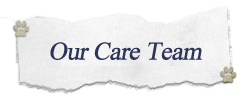 Our Care Team Button