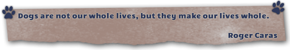 quote banner