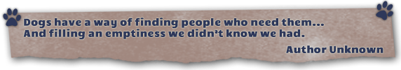quote banner