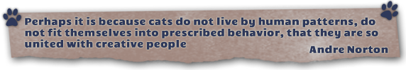 Quote Banner