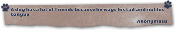 quote banner