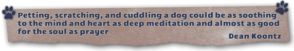 quote banner