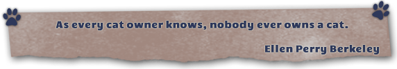 quote banner