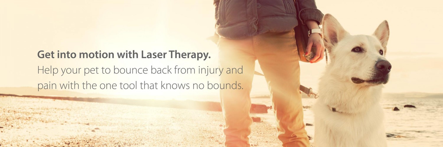 laser therapy banner